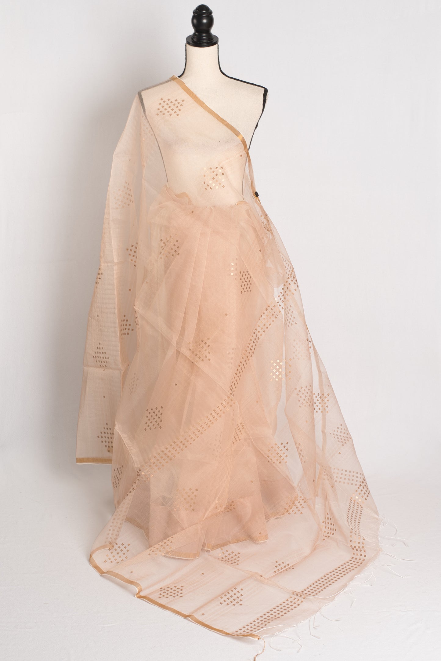 Light Brown Sequin Organza Net Saree - Bengali Saree Collection image 1