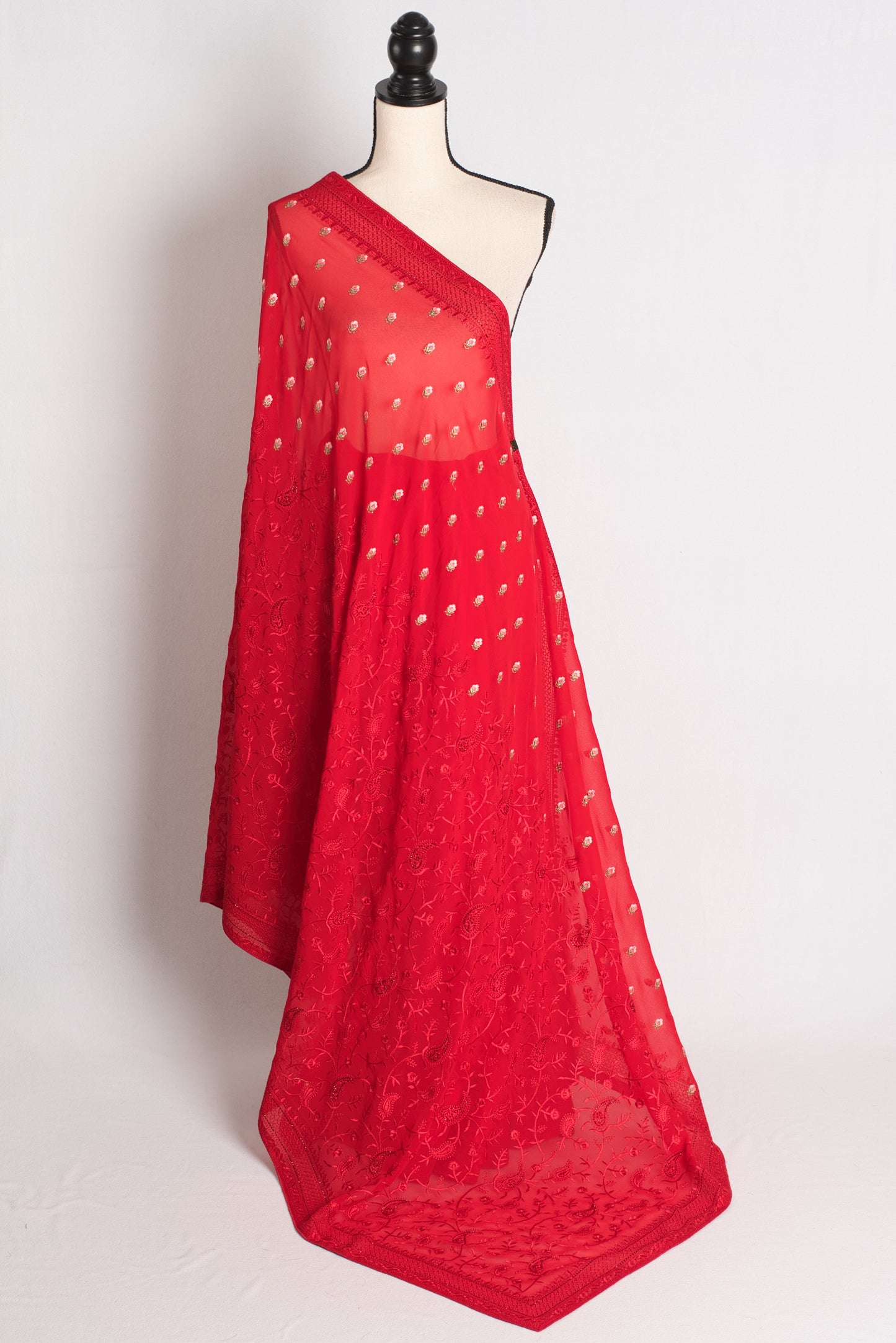 Laalima - Bright Red Kashmiri Georgette Embroidered Saree image 1