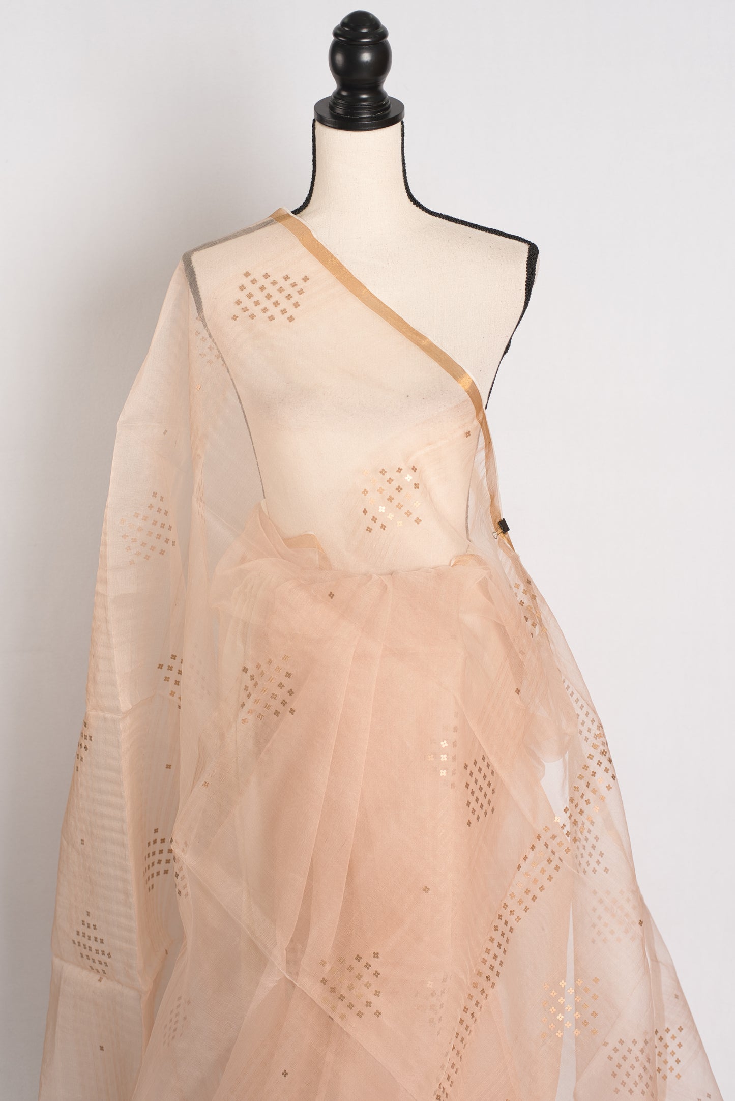 Light Brown Sequin Organza Net Saree - Bengali Saree Collection image 4