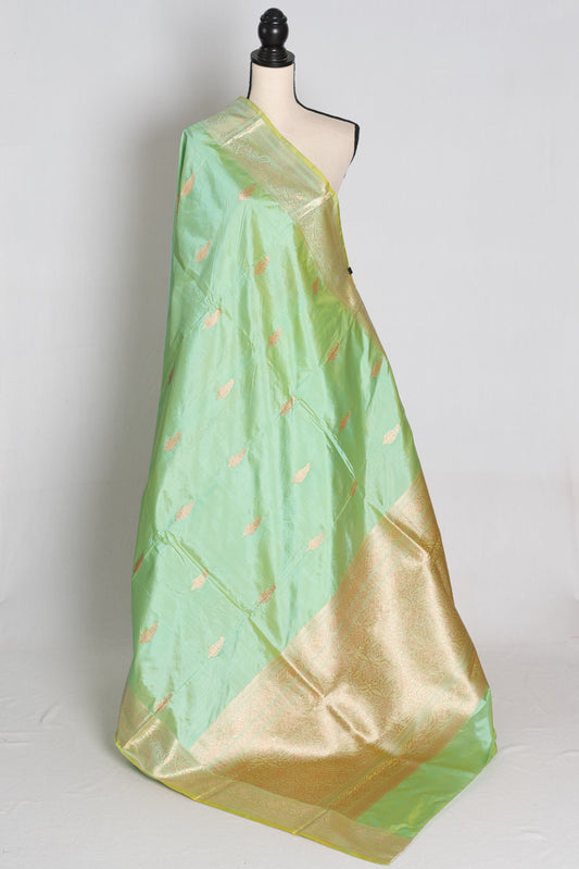 Sea Green and Gold Banarasi saree — front view