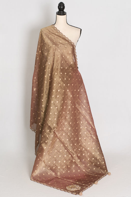 Rashmi: Brown Soft Tissue Saree with Hand Zardosi Embroidery | Partywear image 1