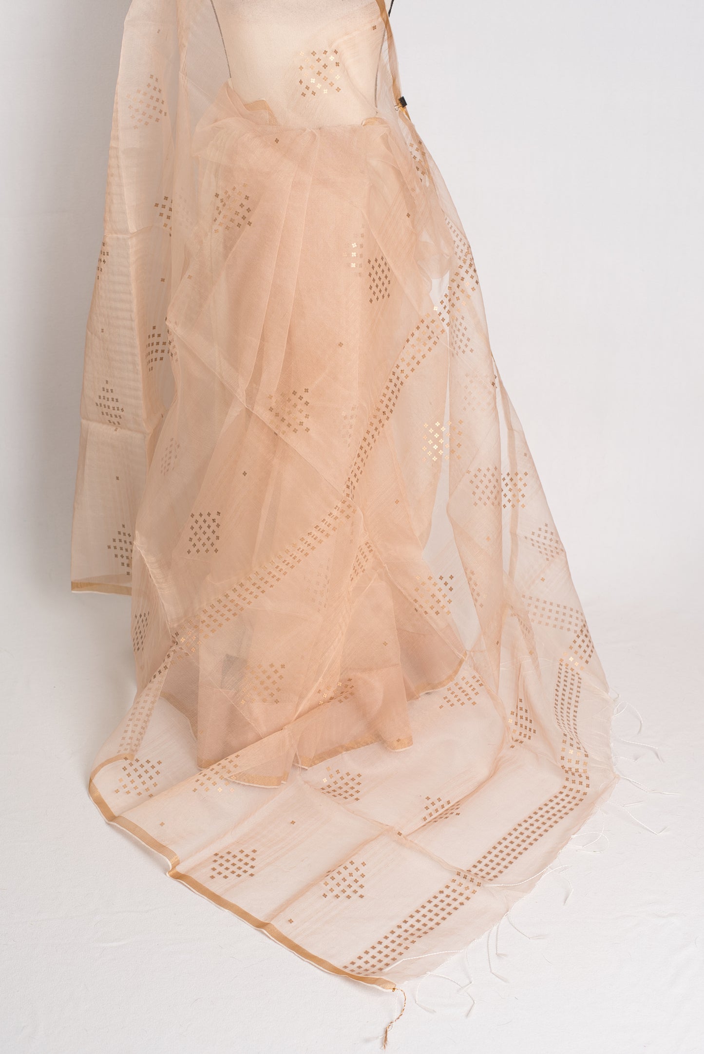 Light Brown Sequin Organza Net Saree - Bengali Saree Collection image 3