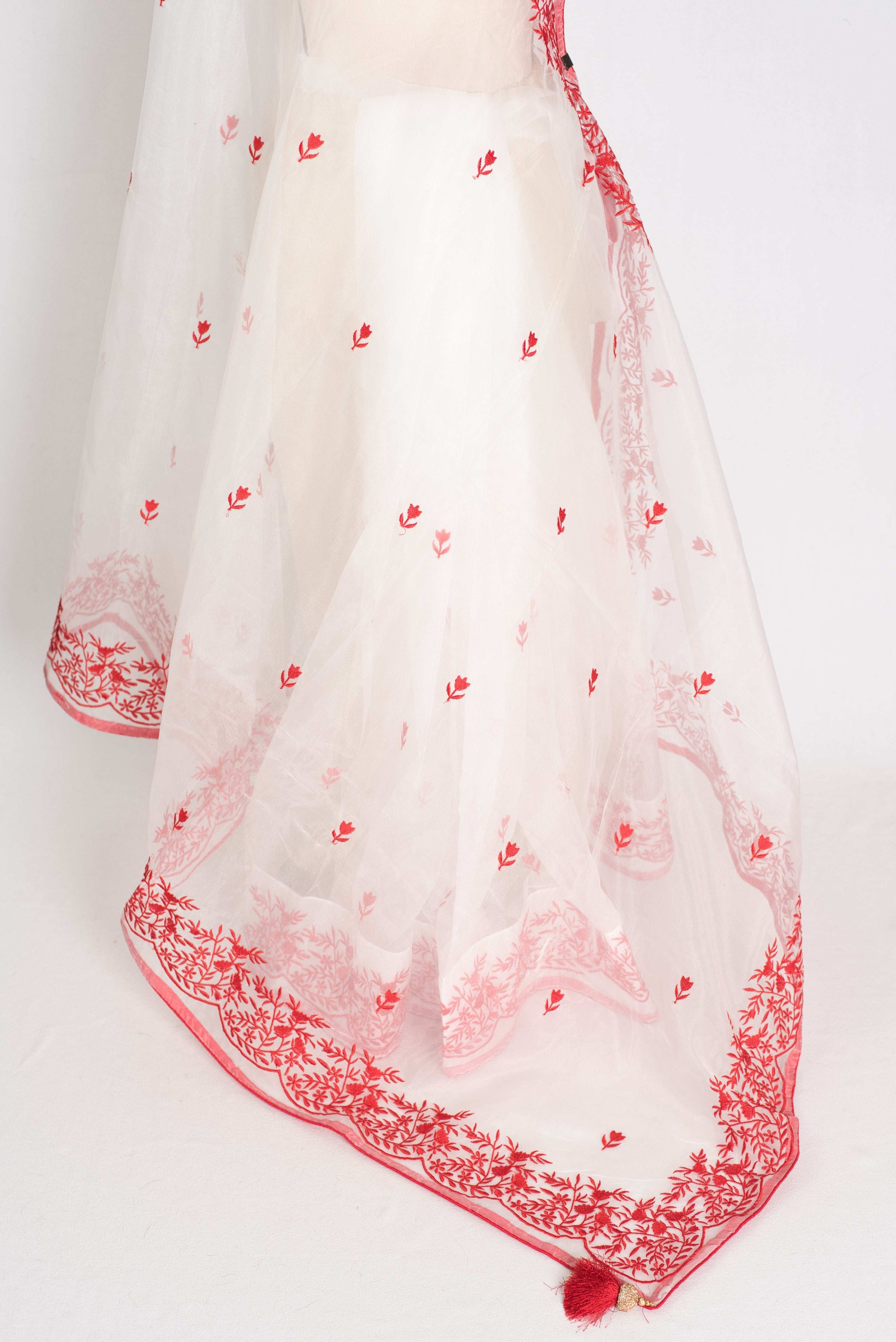 Noori : White and Red Semi Organza Embroidery Designer Saree image 3