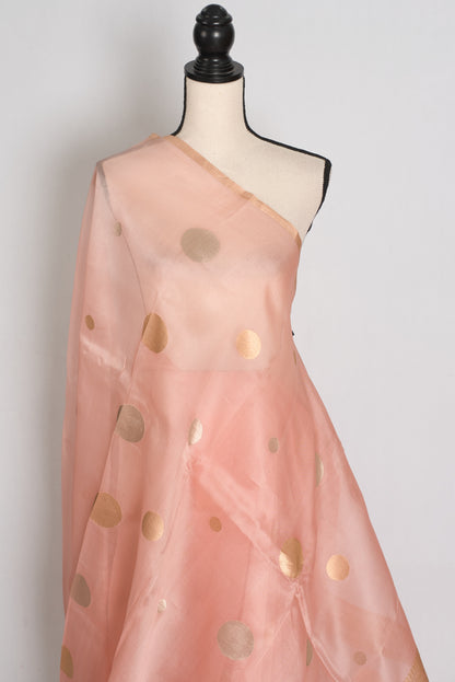 Medha : Peachy Pink Polka Dot Handwoven Kora Banarasi Silk Saree | Silk Mark image 4