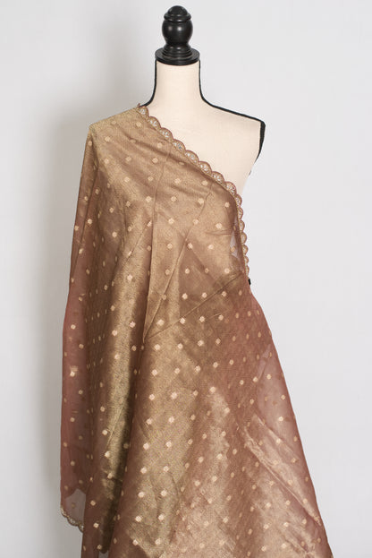 Rashmi: Brown Soft Tissue Saree with Hand Zardosi Embroidery | Partywear image 4