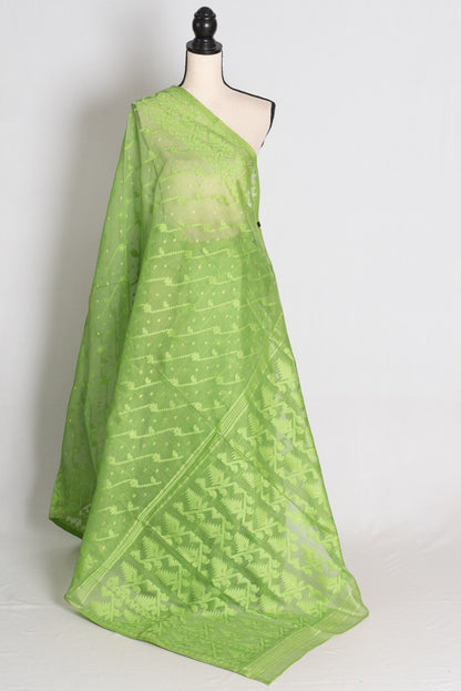 Fresh Light Green Jamdani saree — front view