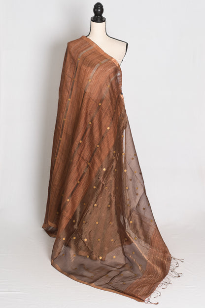 Bidisha Metallic Brown Pure Matka Tissue Bengali Handwoven Saree with Woven Gini image 1
