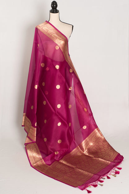Gracy : Purple and Gold Chand Sitara Kora Organza Banarasi Saree image 1