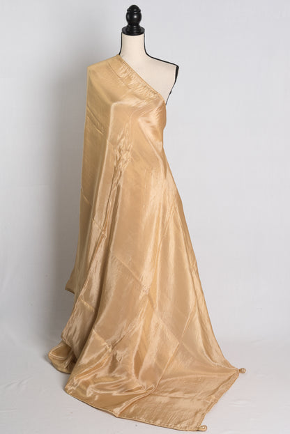 Soft Designer Tissue Saree in Beige with a Shimmer of Gold.