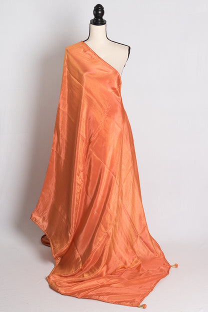 Soft Designer Tissue Saree in Orange with a Shimmer of Gold.