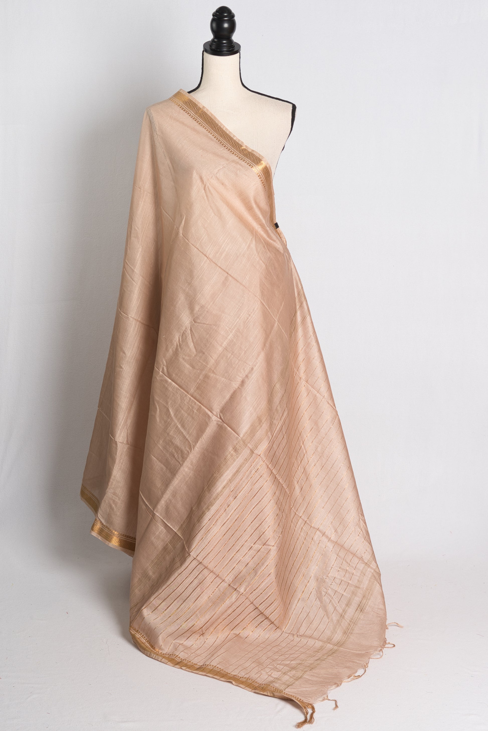 Semi Tussar Saree in Beige and Gold.