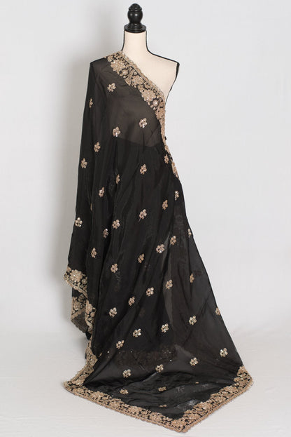 Aanya | Black Tissue Saree | Pre-Stitched Size 34 Blouse (Adjustable to 36/38) - Saree Mandi