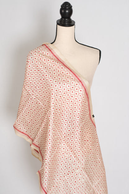 Dhriti | Hand Embroidered Kantha Pure Tussar Silk Stole in Beige & Red image 0