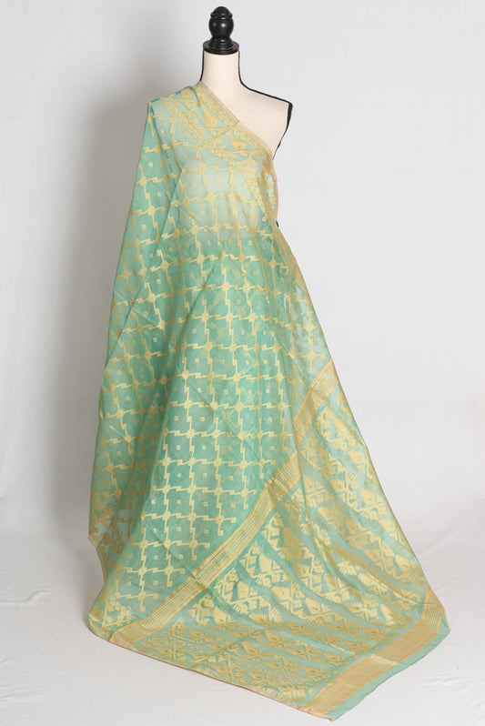 Pastel Green and Beige Jamdani saree — front view