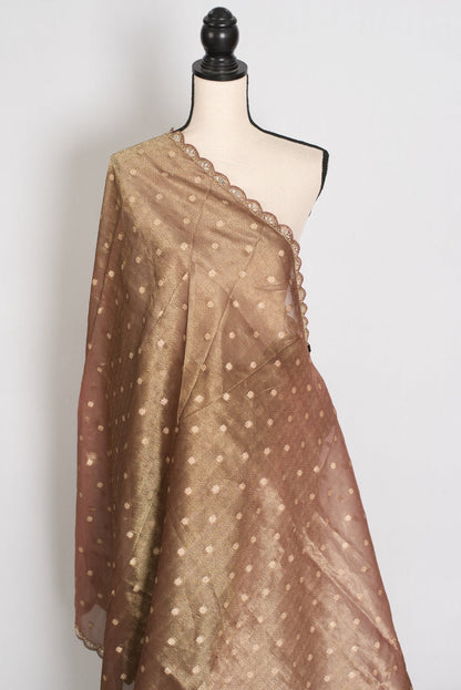 Rashmi: Brown Soft Tissue Saree with Hand Zardosi Embroidery | Partywear - Saree Mandi